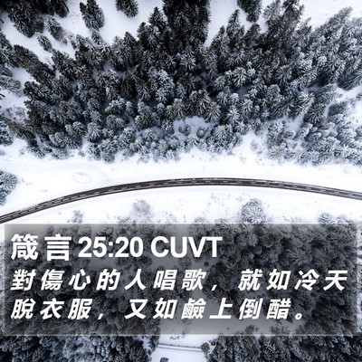箴 言 25:20 CUVT Bible Verse Image