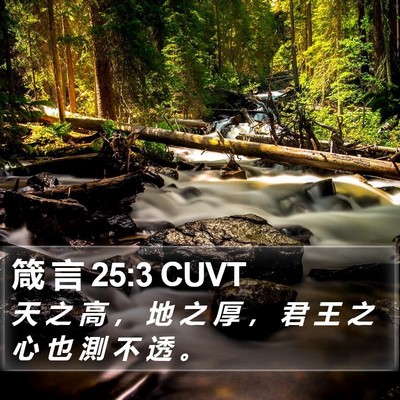 箴 言 25:3 CUVT Bible Verse Image