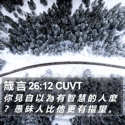 箴 言 26:12 CUVT Bible Verse Image
