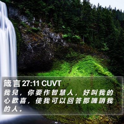箴 言 27:11 CUVT Bible Verse Image