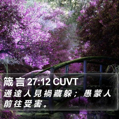 箴 言 27:12 CUVT Bible Verse Image