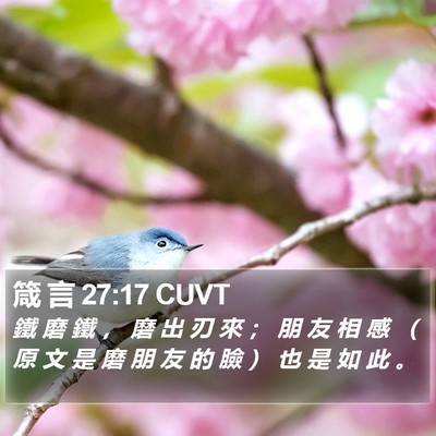 箴 言 27:17 CUVT Bible Verse Image