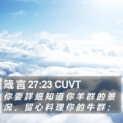 箴 言 27:23 CUVT Bible Verse Image