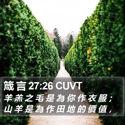 箴 言 27:26 CUVT Bible Verse Image