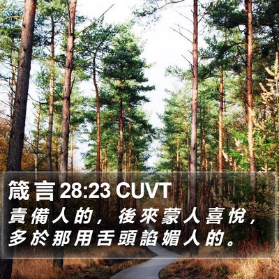 箴 言 28:23 CUVT Bible Verse Image