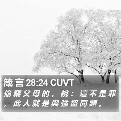 箴 言 28:24 CUVT Bible Verse Image