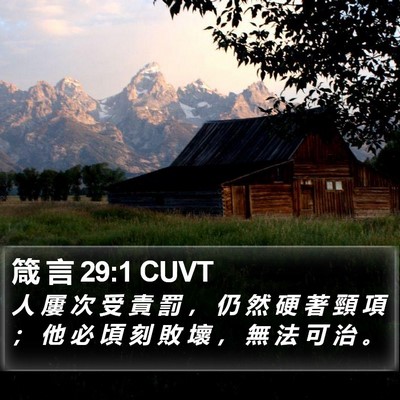 箴 言 29:1 CUVT Bible Verse Image