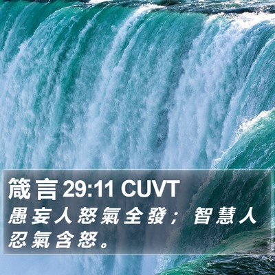 箴 言 29:11 CUVT Bible Verse Image