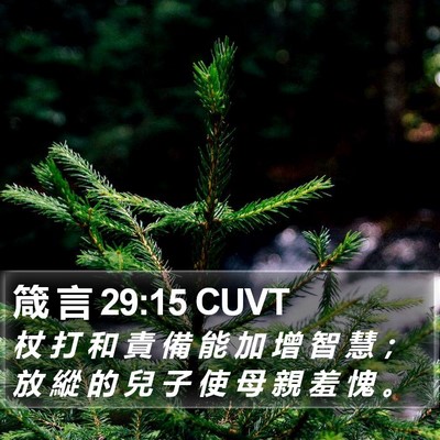 箴 言 29:15 CUVT Bible Verse Image