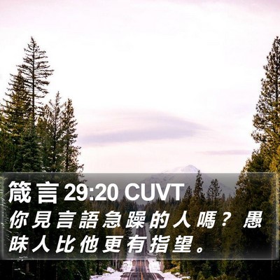 箴 言 29:20 CUVT Bible Verse Image