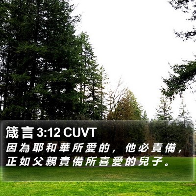箴 言 3:12 CUVT Bible Verse Image
