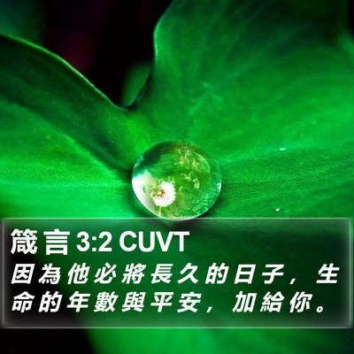箴 言 3:2 CUVT Bible Verse Image