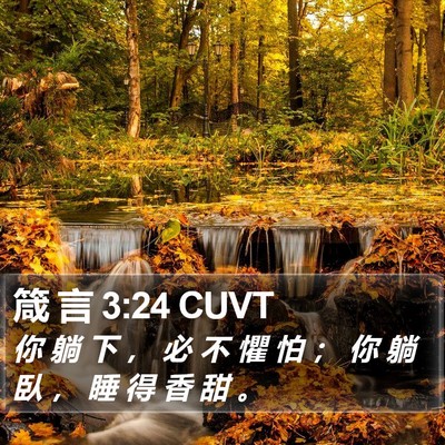 箴 言 3:24 CUVT Bible Verse Image