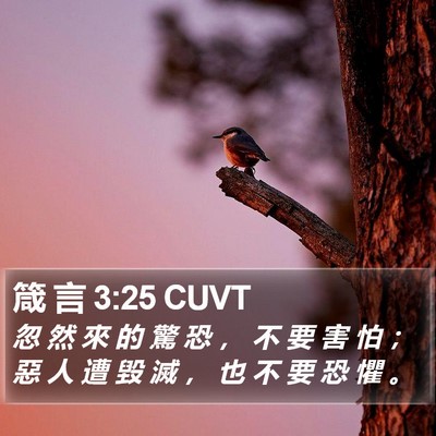 箴 言 3:25 CUVT Bible Verse Image
