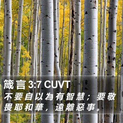 箴 言 3:7 CUVT Bible Verse Image