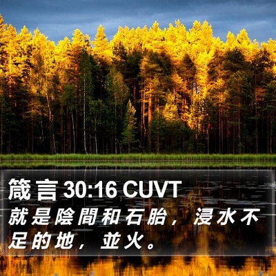 箴 言 30:16 CUVT Bible Verse Image