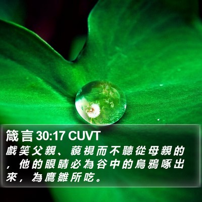 箴 言 30:17 CUVT Bible Verse Image