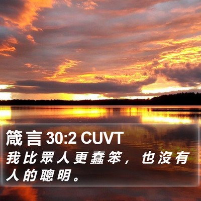 箴 言 30:2 CUVT Bible Verse Image