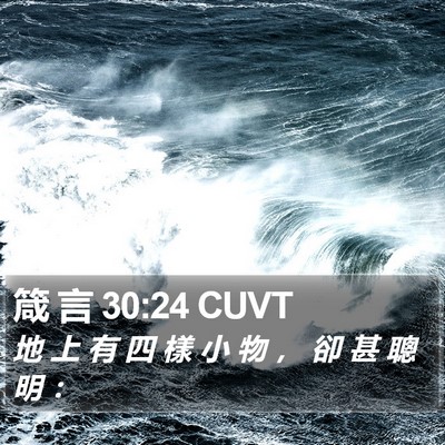 箴 言 30:24 CUVT Bible Verse Image