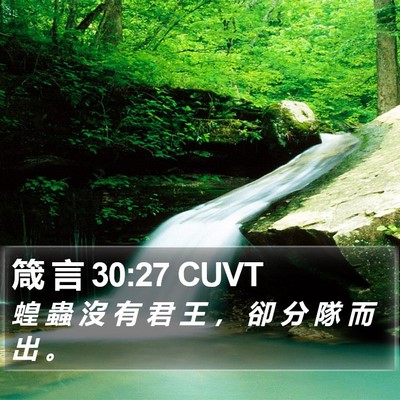 箴 言 30:27 CUVT Bible Verse Image