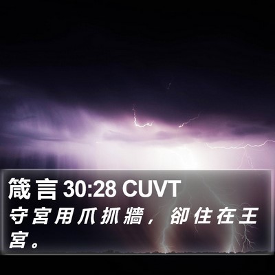箴 言 30:28 CUVT Bible Verse Image