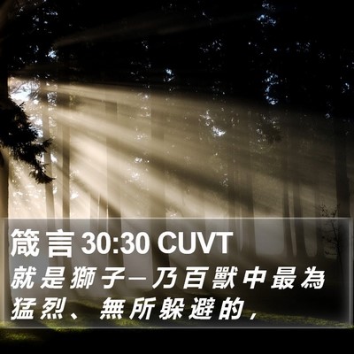 箴 言 30:30 CUVT Bible Verse Image