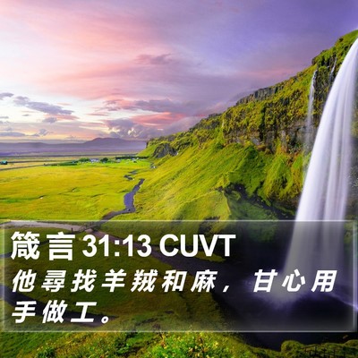 箴 言 31:13 CUVT Bible Verse Image