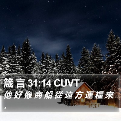 箴 言 31:14 CUVT Bible Verse Image