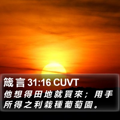 箴 言 31:16 CUVT Bible Verse Image