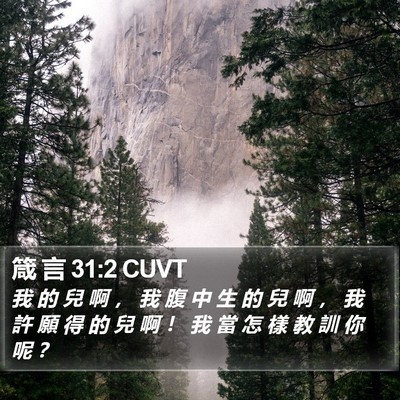 箴 言 31:2 CUVT Bible Verse Image