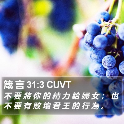 箴 言 31:3 CUVT Bible Verse Image