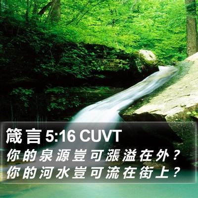 箴 言 5:16 CUVT Bible Verse Image