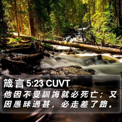 箴 言 5:23 CUVT Bible Verse Image