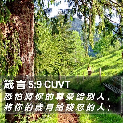 箴 言 5:9 CUVT Bible Verse Image
