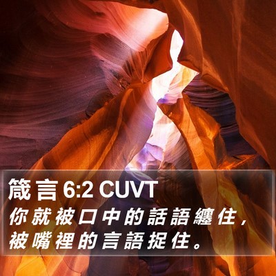 箴 言 6:2 CUVT Bible Verse Image