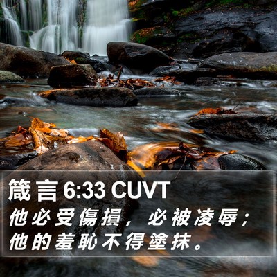 箴 言 6:33 CUVT Bible Verse Image