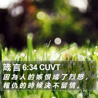 箴 言 6:34 CUVT Bible Verse Image