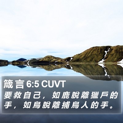 箴 言 6:5 CUVT Bible Verse Image