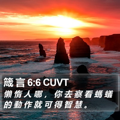 箴 言 6:6 CUVT Bible Verse Image