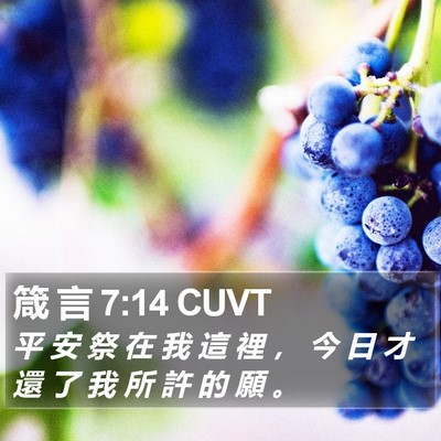 箴 言 7:14 CUVT Bible Verse Image