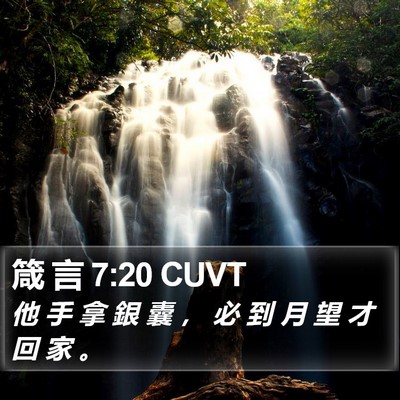 箴 言 7:20 CUVT Bible Verse Image