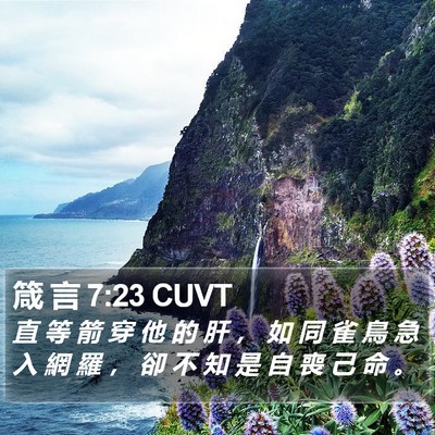 箴 言 7:23 CUVT Bible Verse Image