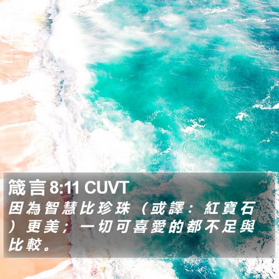 箴 言 8:11 CUVT Bible Verse Image
