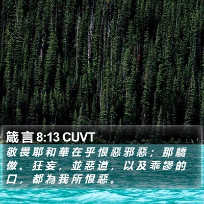 箴 言 8:13 CUVT Bible Verse Image