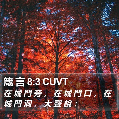 箴 言 8:3 CUVT Bible Verse Image