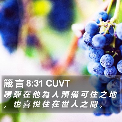 箴 言 8:31 CUVT Bible Verse Image