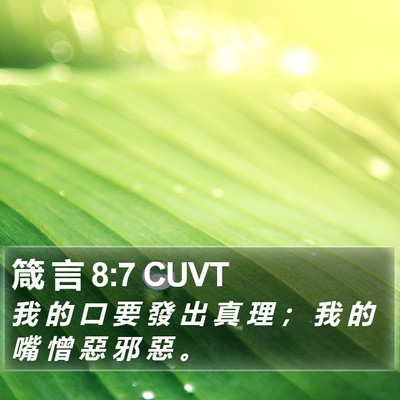 箴 言 8:7 CUVT Bible Verse Image