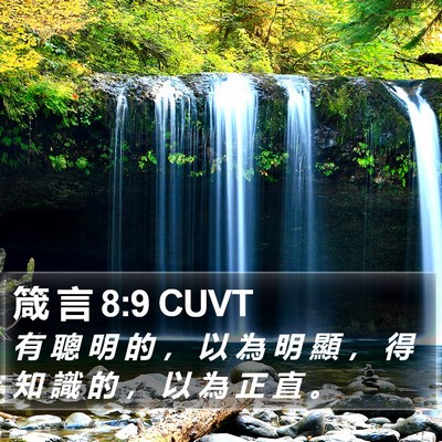 箴 言 8:9 CUVT Bible Verse Image
