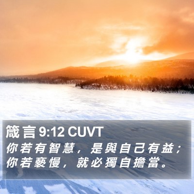 箴 言 9:12 CUVT Bible Verse Image