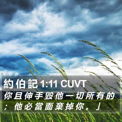 約 伯 記 1:11 CUVT Bible Verse Image